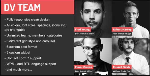 DV Team Responsive Team Showcase WordPress Plugin