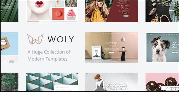 Woly - Multipurpose WordPress Theme